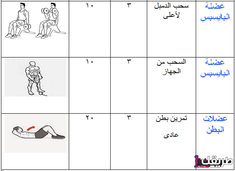 جدول تمارين للمبتدئين للنساء ونصائح لأداء التدريبات الرياضية 2 78 004900 exercise schedule beginners gym 27